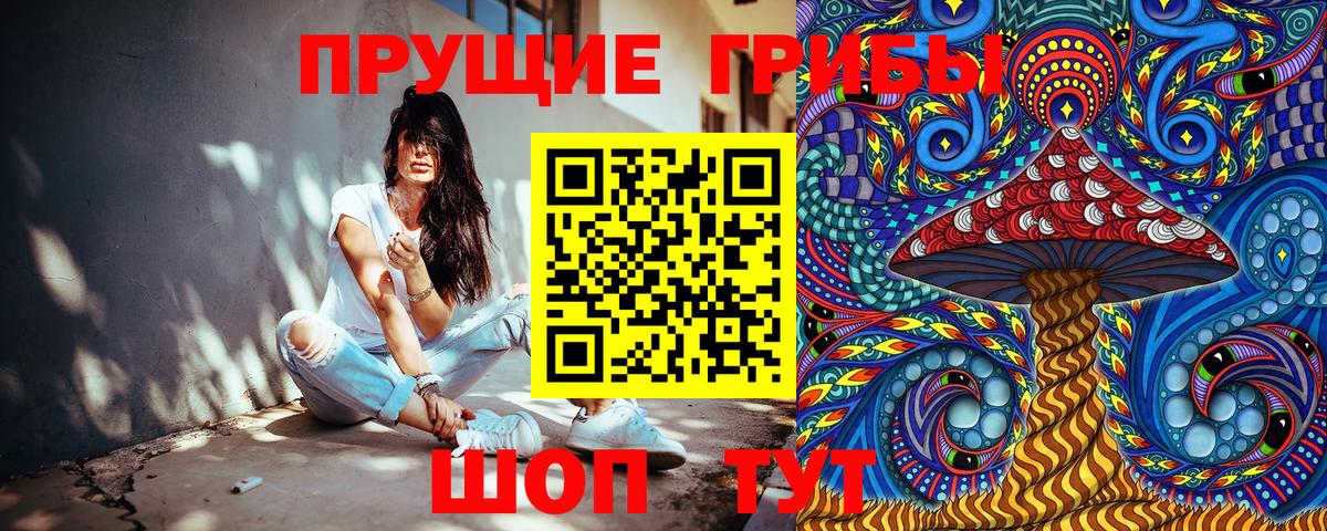 Карпинск  Галлюциногенные грибы MAGIC MUSHROOMS  Вход с VPN  наркошоп  Псилоцибиновые грибы мухоморы 